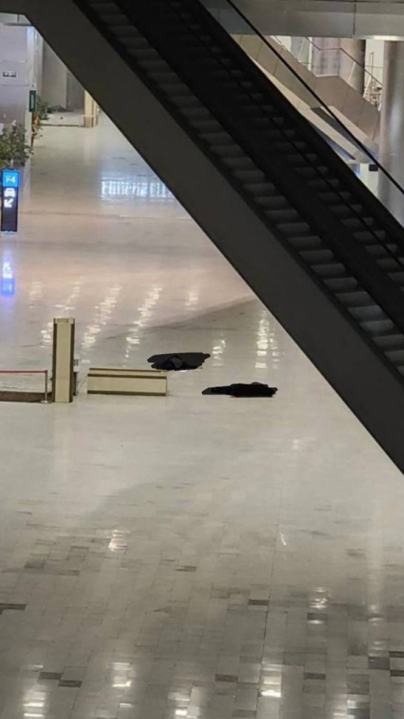 photo1711226197 (1).jpeg